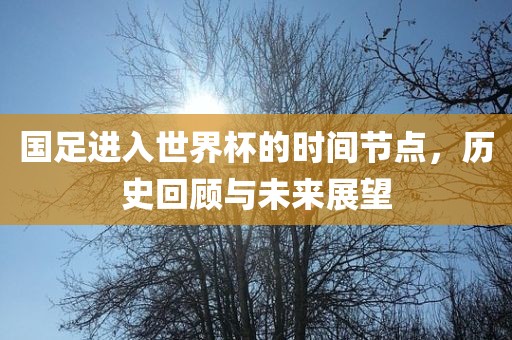 国足进入世界杯的时间节点，历史回顾与未来展望