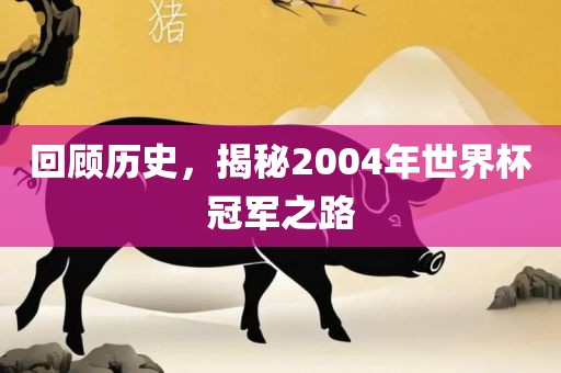 回顾历史，揭秘2004年世界杯冠军之路
