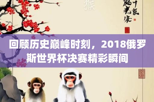 回顾历史巅峰时刻，2018俄罗斯世界杯决赛精彩瞬间
