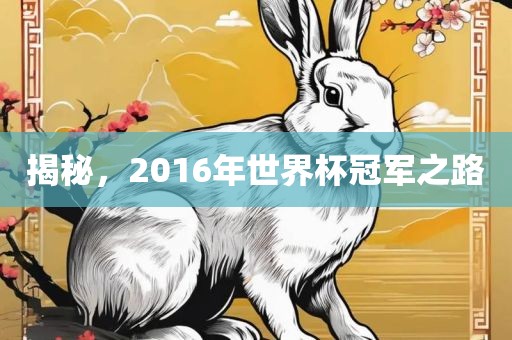 揭秘，2016年世界杯冠军之路