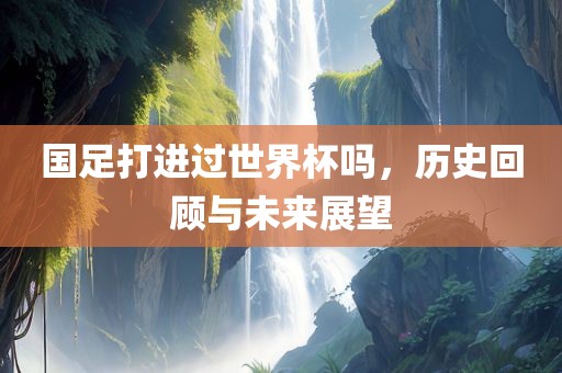 国足打进过世界杯吗，历史回顾与未来展望漯河市盈旭机械设备有限公司