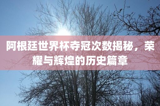 阿根廷世界杯夺冠次数揭秘，荣耀与辉煌的历史篇章