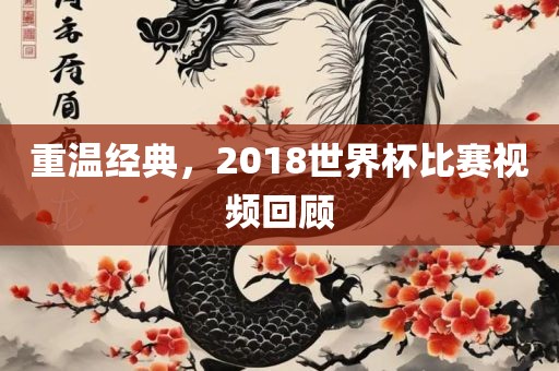 重温经典，2018世界杯比赛视频回顾