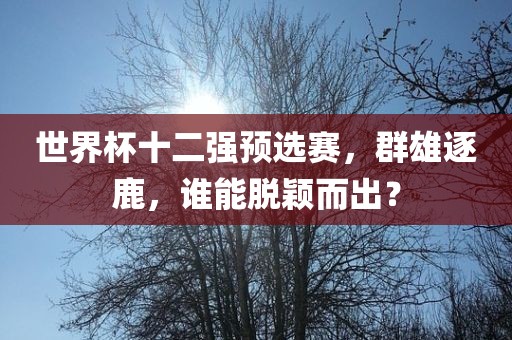 世界杯十二强预选赛，群雄逐鹿，谁能脱颖而出？