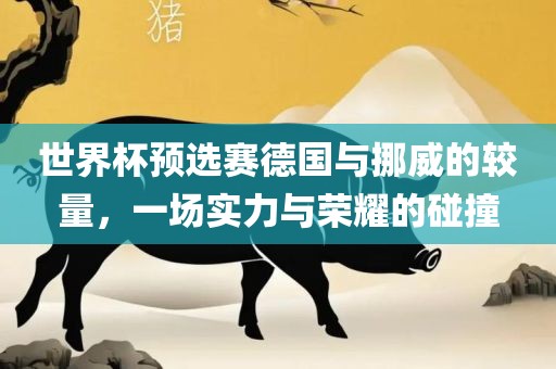 世界杯预选赛德国与挪威的较量，一场实力与荣耀的碰撞漯河市盈旭机械设备有限公司