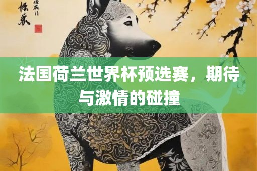 法国荷兰世界杯预选赛，期待与激情的碰撞