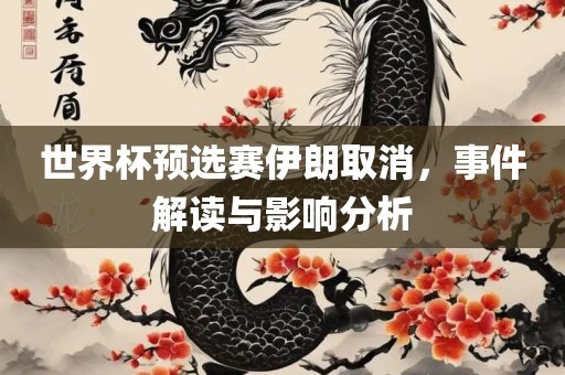 世界杯预选赛伊朗取消，事件解读与影响分析