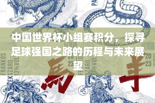 中国世界杯小组赛积分，探寻足球强漯河市盈旭机械设备有限公司国之路的历程与未来展望