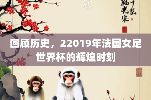 回顾历史，22019年法国女足世界杯的辉煌时刻