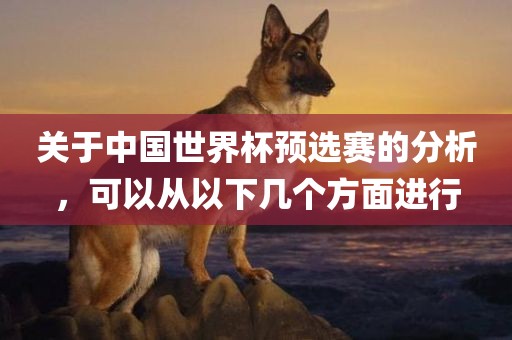 关于中国世界杯预选赛的分析，可以从以下几个方面进行