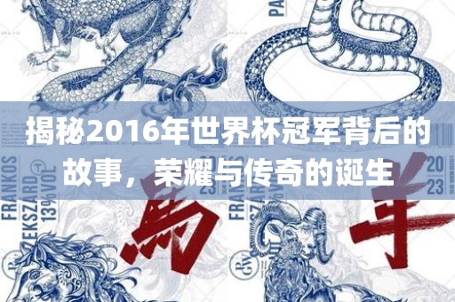 揭秘2016年世界杯冠军背后的故事，荣耀与传奇的诞生漯河市盈旭机械设备有限公司