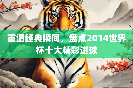 重温经典瞬间，盘点2014世界杯十大精彩进球