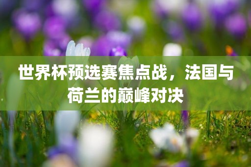 世界杯预选赛 第5页