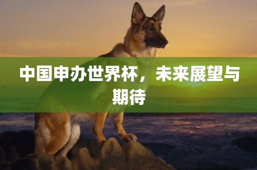 中国申办世界杯，未来展望与期待