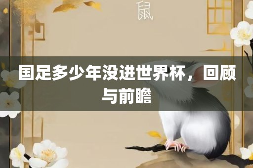 国足多少年没进世界杯，回顾与前瞻