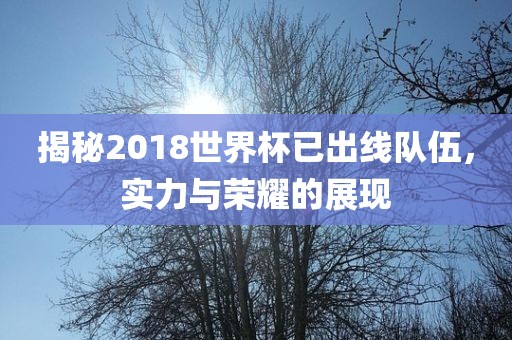 揭秘2018世界杯已出线队漯河市盈旭机械设备有限公司伍，实力与荣耀的展现