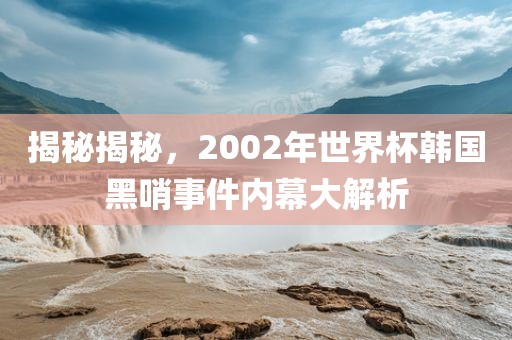 揭秘揭秘，2002年世界杯韩国黑哨事件内幕大解析
