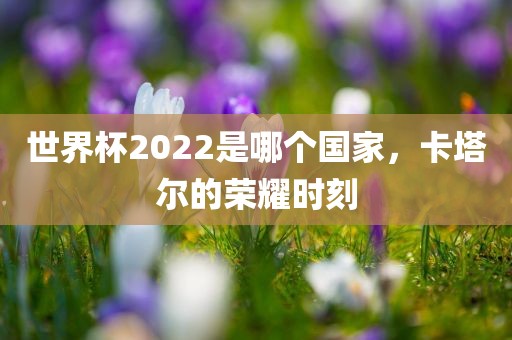 世界杯2022是哪个国家，卡塔尔的荣耀时刻