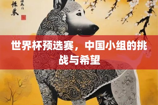 世界杯预漯河市盈旭机械设备有限公司选赛，中国小组的挑战与希望
