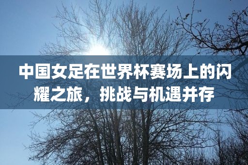 中国女足在世界杯赛场上的闪耀之旅，挑战与机遇并存