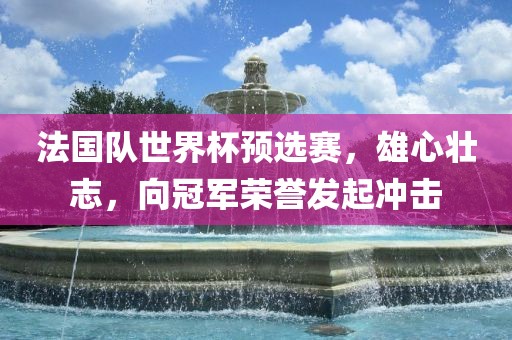 法国队世界杯预选赛，雄心壮志，向冠军荣誉发起冲击