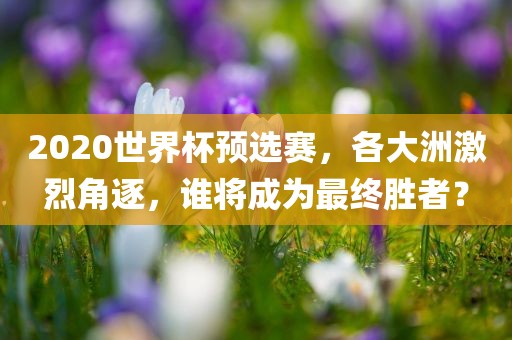 2020世界杯预选赛，各大洲激烈角逐，谁将成为最终胜者？