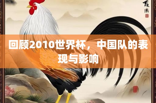 回顾2010世界杯，中国队的表现与影响