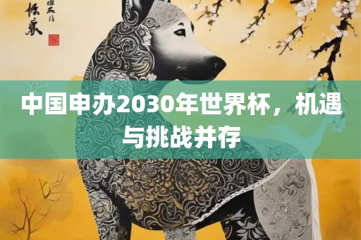 中国申办2030年世界杯，机遇与挑战并存