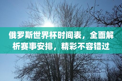 俄罗斯世界杯时间表，全面解析赛事安排，精彩不容错过