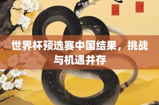 世界杯预选赛 第3页