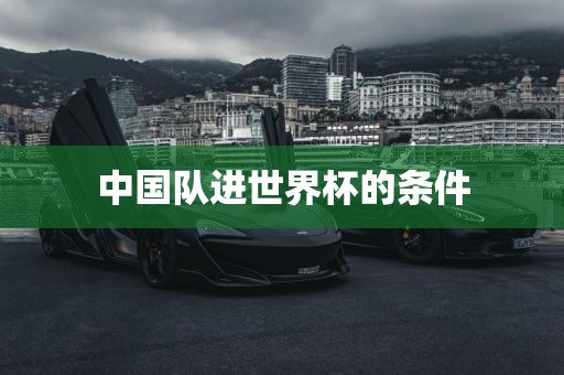 中国队进世界杯的条件漯河市盈旭机械设备有限公司