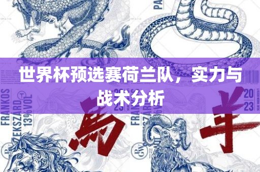 世界杯预选赛荷兰队，实力与战术分析