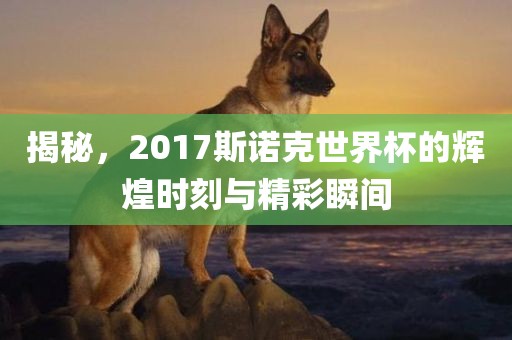 揭秘，2017斯诺克世界杯的辉煌时刻与精彩瞬间