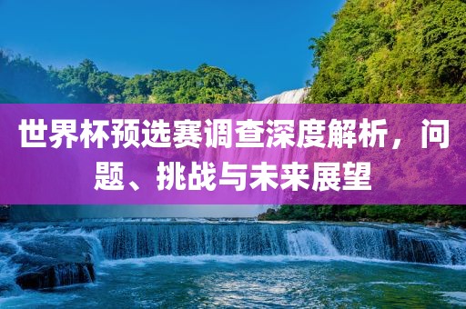 世界杯预选赛调查深度解析，问题、挑战与未来展望漯河市盈旭机械设备有限公司