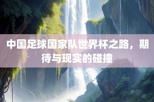 中国足球国家队世界杯之路，期待与现实的碰撞