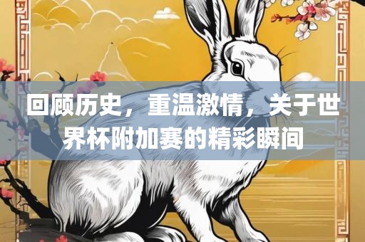 回顾历史，重温激情，关于世界杯附加赛的精彩瞬间
