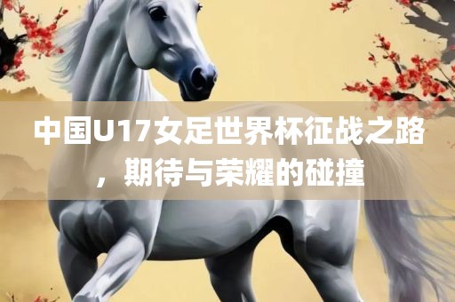 中国U17女足世界杯征战之路，期待与荣耀的碰撞漯河市盈旭机械设备有限公司