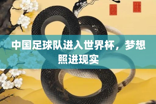 中国足球队进入世界杯，梦想照进现实