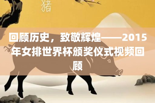 回顾历史，致敬辉煌——2015年女排世界杯颁奖仪式视频回顾