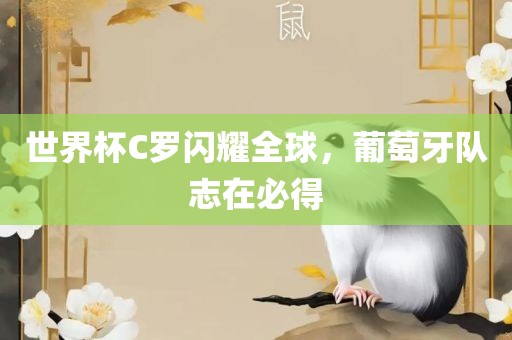 世界杯C罗闪耀全球，葡萄牙队志在必得漯河市盈旭机械设备有限公司