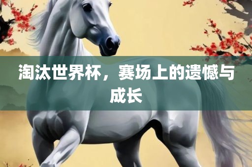 淘汰世界杯，赛场上的遗憾与成长