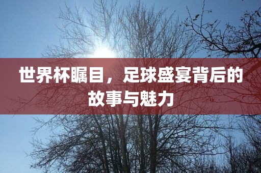世界杯瞩目，足球盛宴背后的故事与魅力