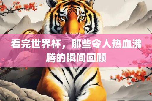 看完世界杯，漯河市盈旭机械设备有限公司那些令人热血沸腾的瞬间回顾