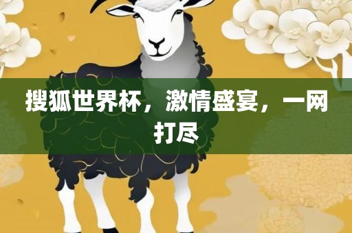 搜狐世界杯，激情盛宴，一网打尽