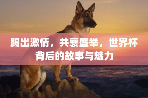 踢出激情，共襄盛举，世界杯背后的故事与魅力