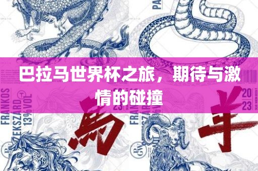 巴拉马世界杯之旅，期待与激情的碰撞