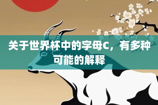 关于世界杯中的字母C，有多种可能的解释漯河市盈旭机械设备有限公司