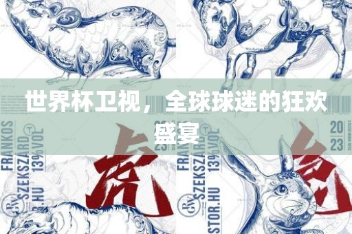 世界杯卫视，全球球迷的狂欢盛宴