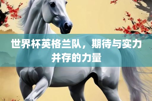世界杯英格兰队，期待与实力并存的力量