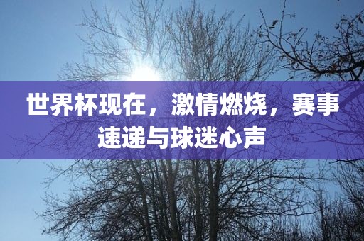 chenjiayi 第4页